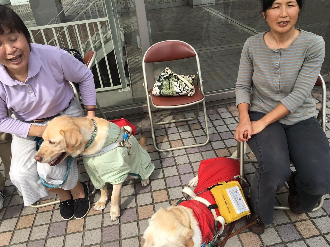 ����̗l�q2